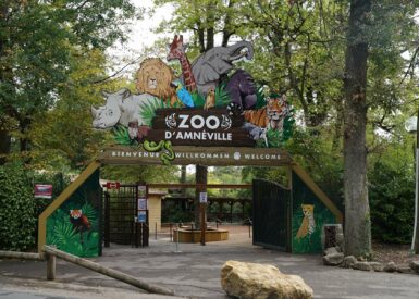 sortie-au-zoo